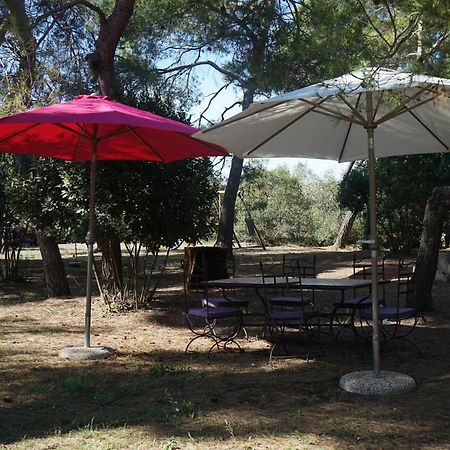 Joli Mas Au Bord De L'Etang De Thau Villa Marseillan  Exteriör bild