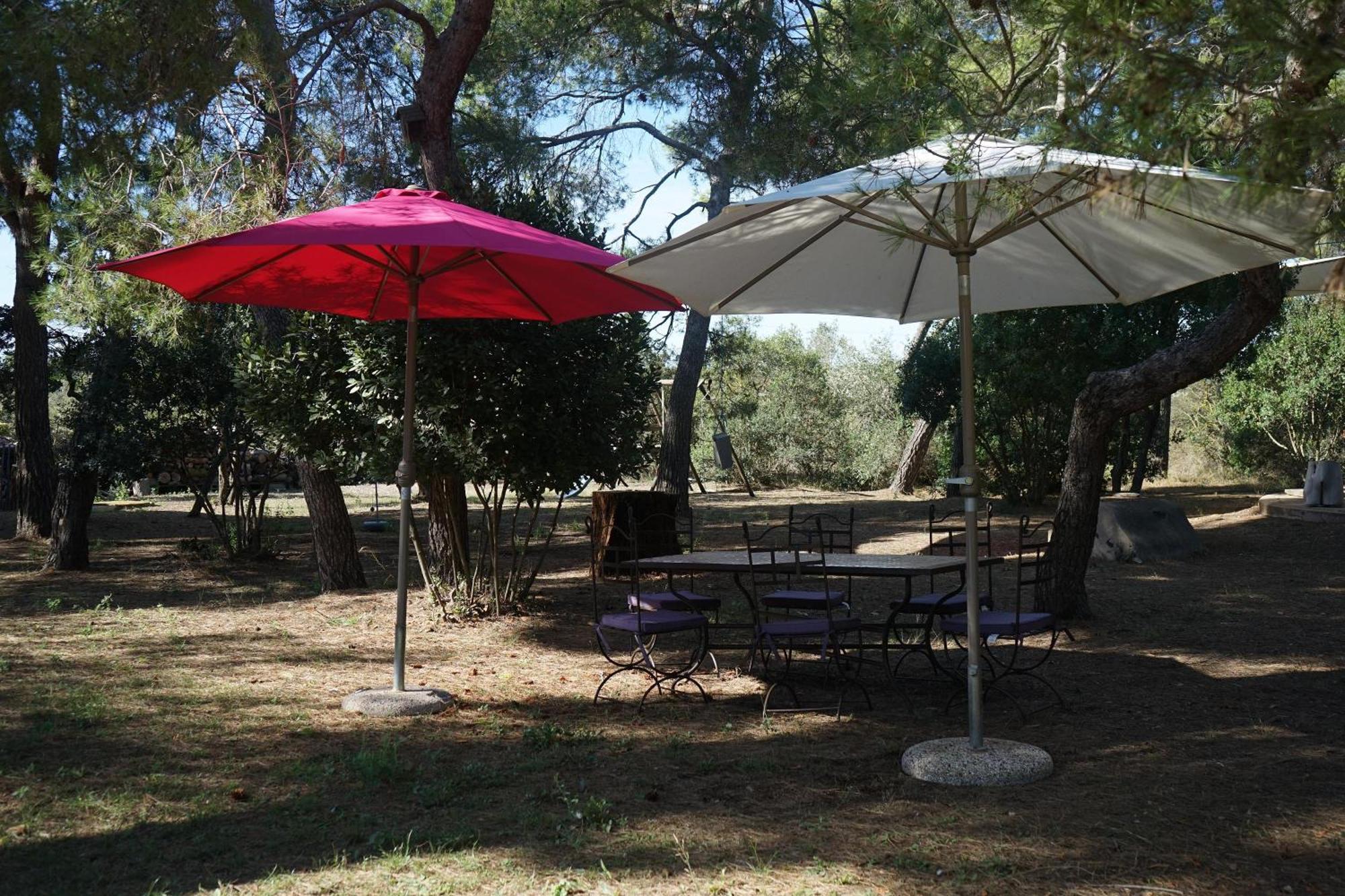 Joli Mas Au Bord De L'Etang De Thau Villa Marseillan  Exteriör bild